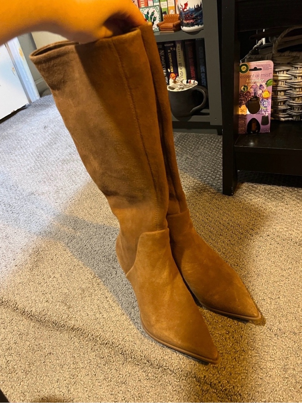 Sam Edelman Tan Suede Knee-High Pointed-Toe Boots